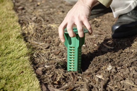 Fort Lauderdale Termite Control