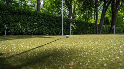 Synthetic Grass Putting Green Photo